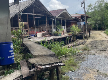 วันที่ 23 พฤศจิกายน 2566 ... พารามิเตอร์รูปภาพ 7